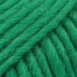 Drops Snow - uni colour 25 vert vif