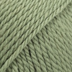 Drops Alaska - uni colour 75 vert sauge