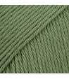 55 - Green - uni colour - fern