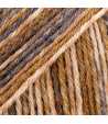 104 - Multicolore - print - caramel crumble