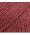 24 - Red - uni colour - baie de houx