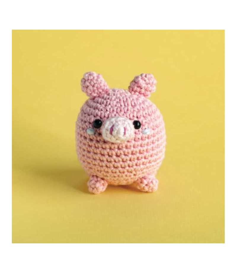 Ma Box Crochet DIY - Le Cochon Apily