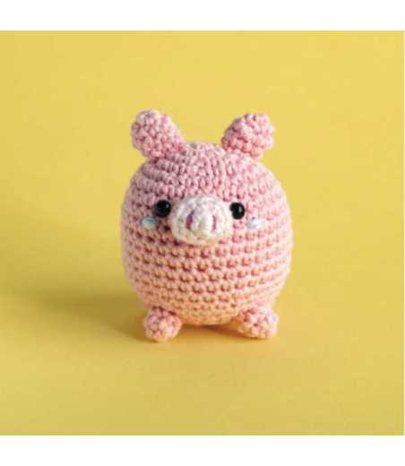 Ma Box Crochet DIY - Le Cochon Apily