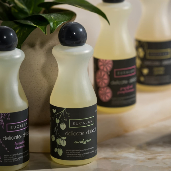 Lessive naturelle Eucalan pour laine et tissus