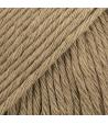 22 - Beige - uni colour - brun kaki