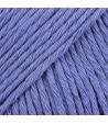 33 - Blue - uni colour - jacinthe