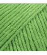 39 - Green - uni colour - vert printemps