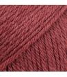 24 - Red - uni colour - baie de houx
