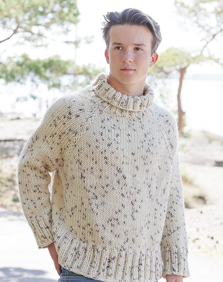 Modèle de tricot : DROPS 260-13