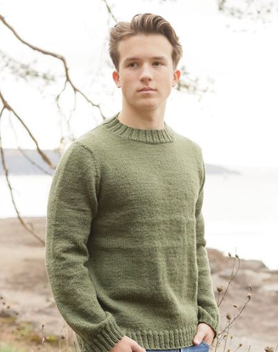 Modèle de tricot : DROPS 260-39