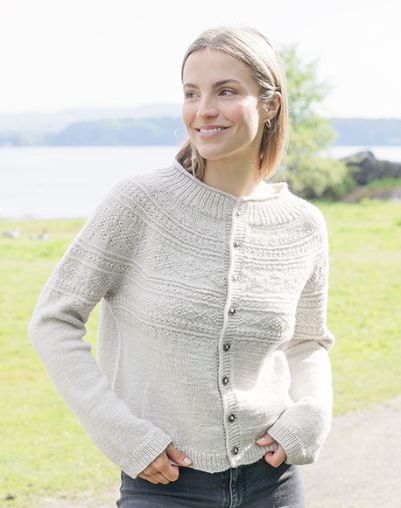 Modèle de tricot : DROPS 273-31
